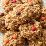 Peanut Butter No Bake Cookies 18 Peanut Butter No Bake Cookies