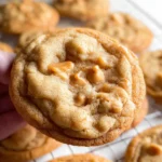 Butterscotch Cookies 24 Butterscotch Cookies