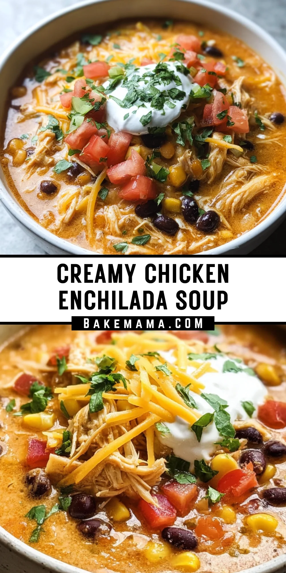 Creamy Chicken Enchilada Soup 25 Pinterest Hidden Image