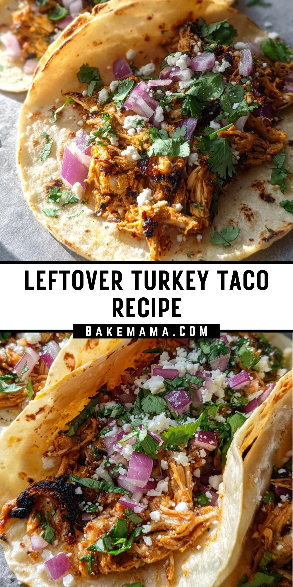 Leftover Turkey Taco Recipe 21 Pinterest Hidden Image