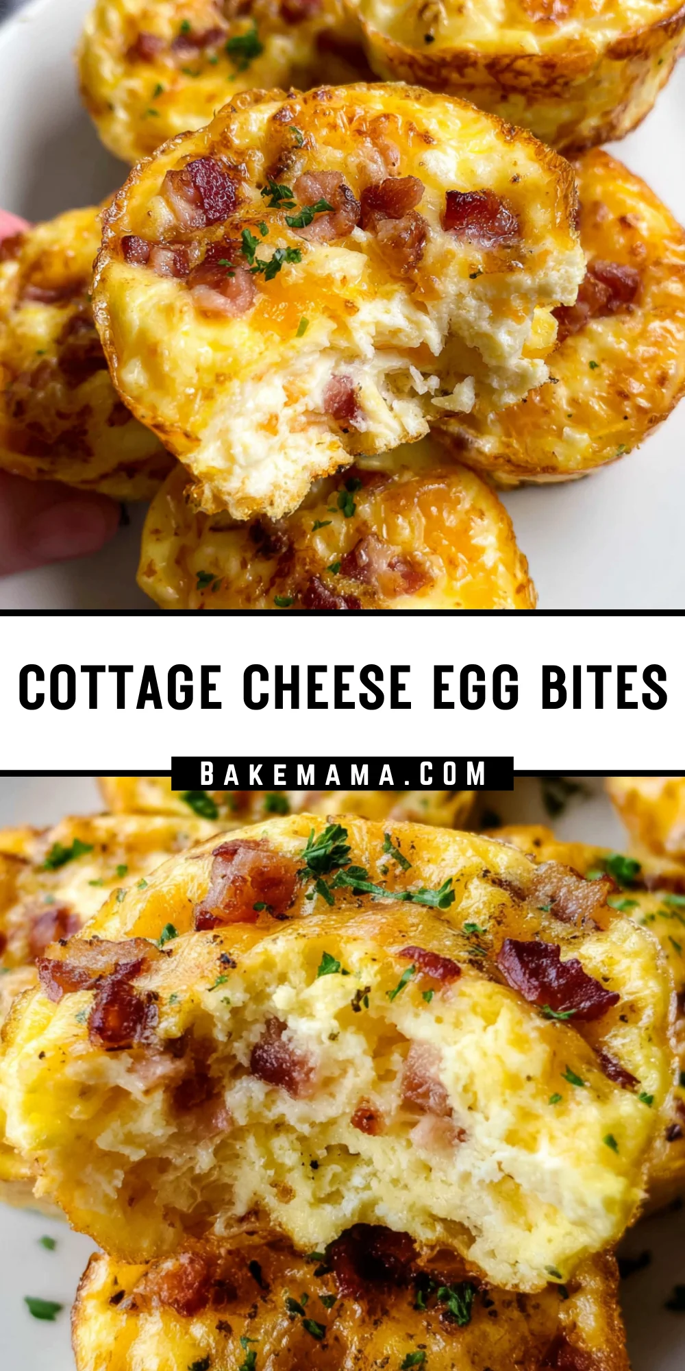 Cottage Cheese Egg Bites 17 Pinterest Hidden Image