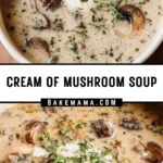 Cream of Mushroom Soup 22 Pinterest Hidden Image