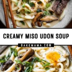Creamy Miso Udon Soup 22 Pinterest Hidden Image