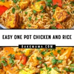 Easy One Pot Chicken and Rice 24 Pinterest Hidden Image