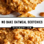 No Bake Oatmeal Scotchies 17 Pinterest Hidden Image